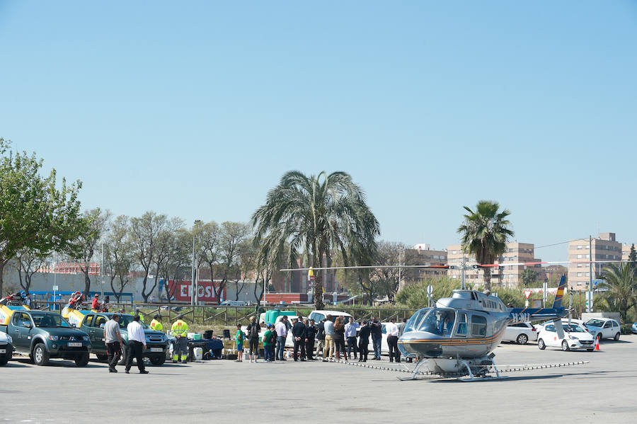 Guerra total contra el mosquito tigre