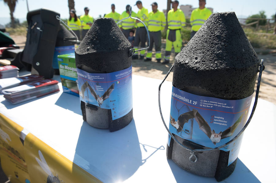 Guerra total contra el mosquito tigre