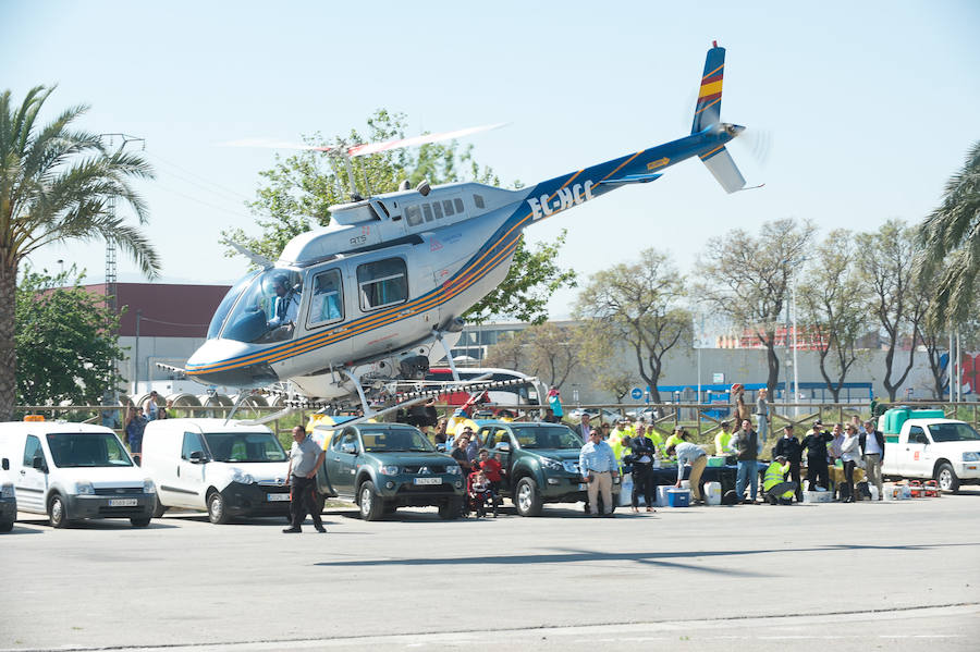 Guerra total contra el mosquito tigre