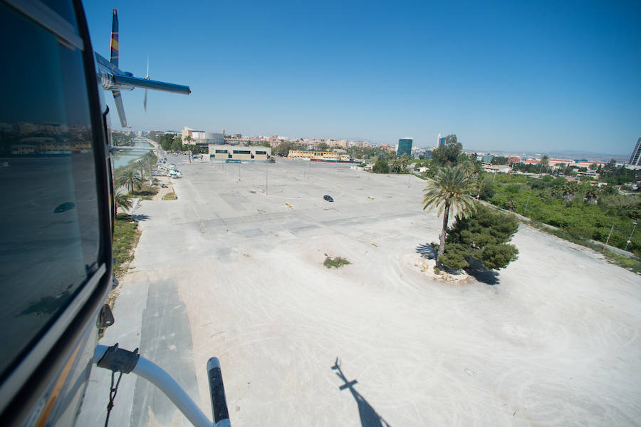 Guerra total contra el mosquito tigre