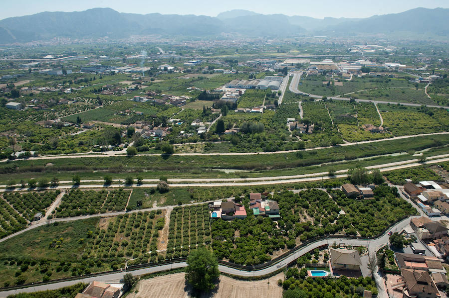 Guerra total contra el mosquito tigre