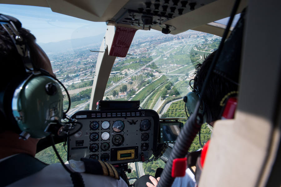 Guerra total contra el mosquito tigre