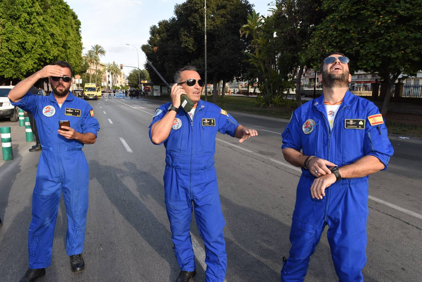 La sardina cae del cielo