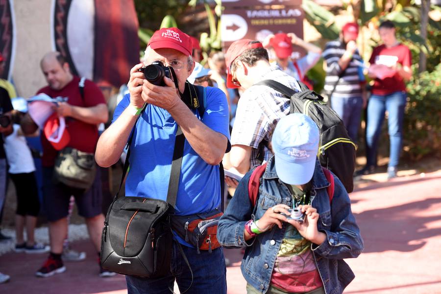 Enfocando la naturaleza más salvaje