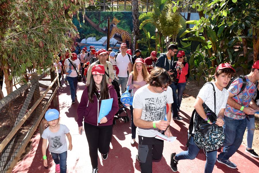 Enfocando la naturaleza más salvaje