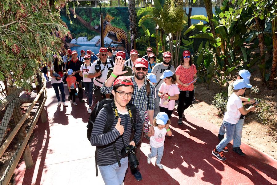Enfocando la naturaleza más salvaje