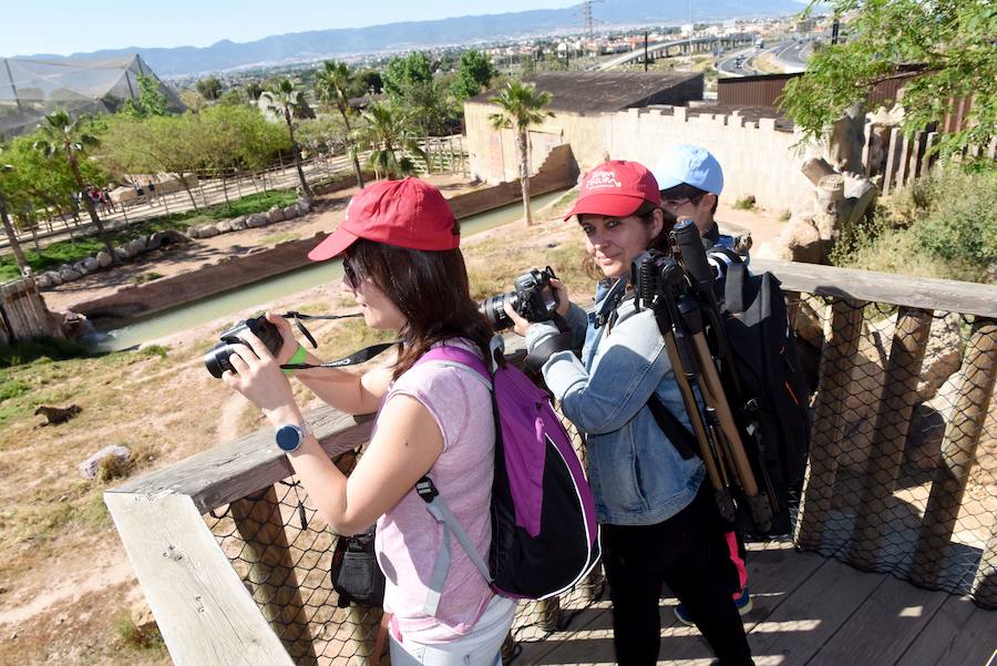 Enfocando la naturaleza más salvaje