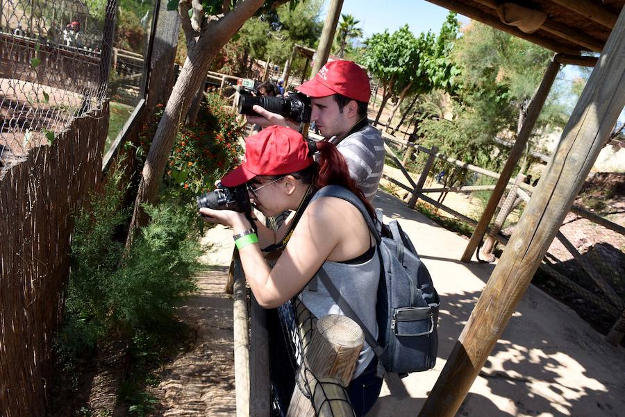 Enfocando la naturaleza más salvaje