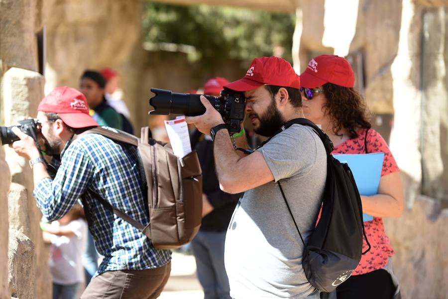 Enfocando la naturaleza más salvaje