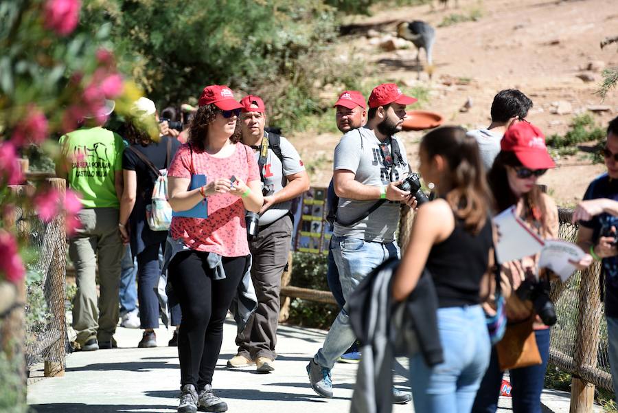 Enfocando la naturaleza más salvaje