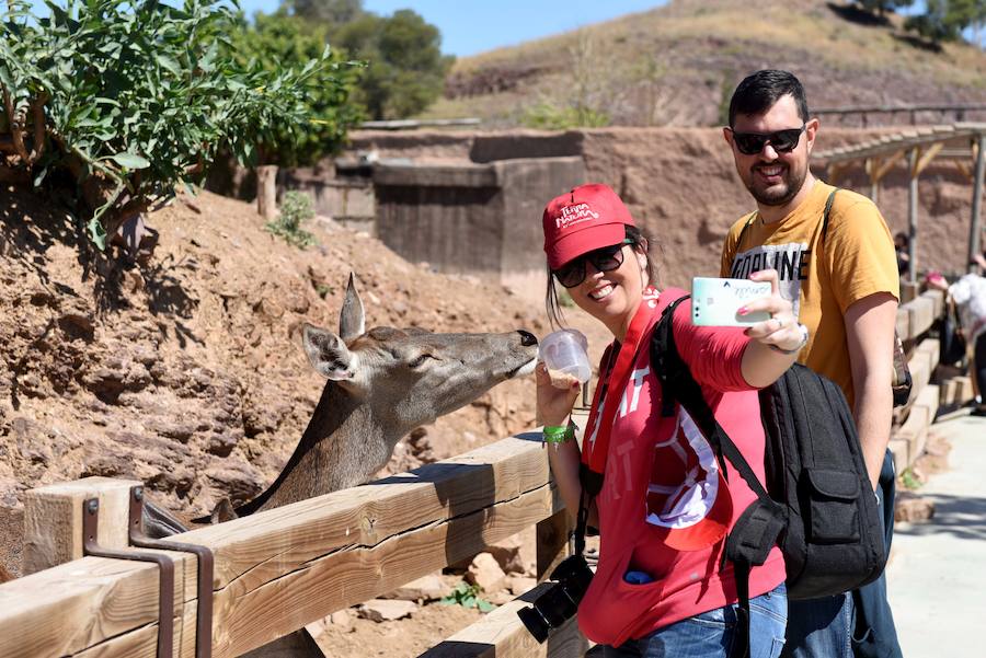 Enfocando la naturaleza más salvaje