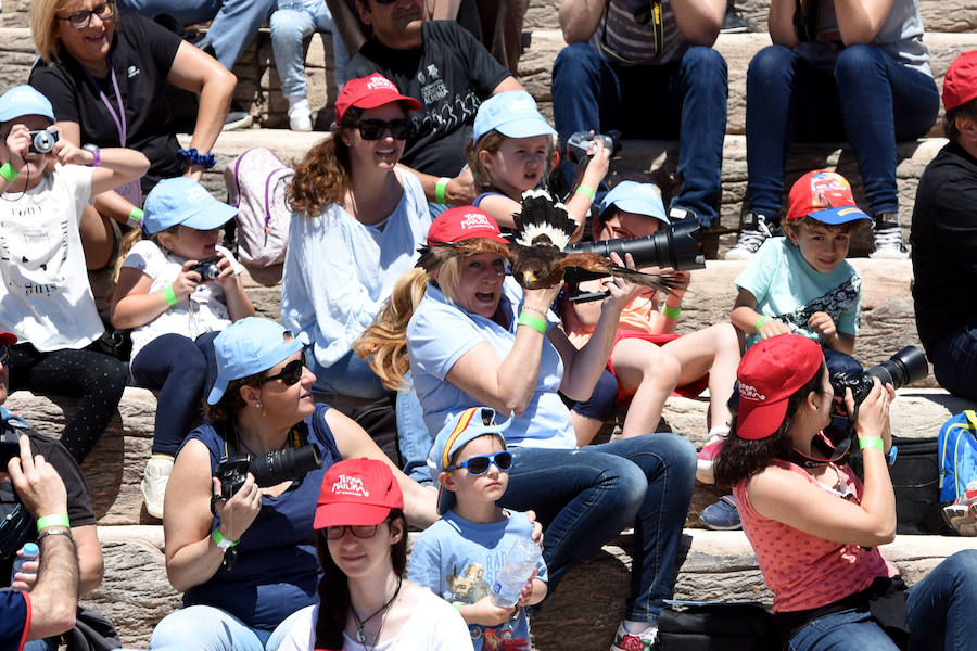 Enfocando la naturaleza más salvaje