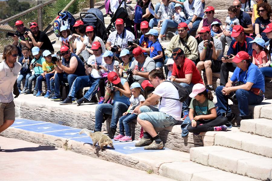 Enfocando la naturaleza más salvaje