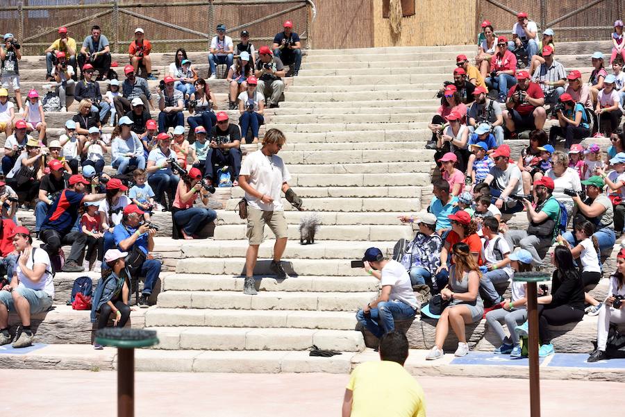 Enfocando la naturaleza más salvaje