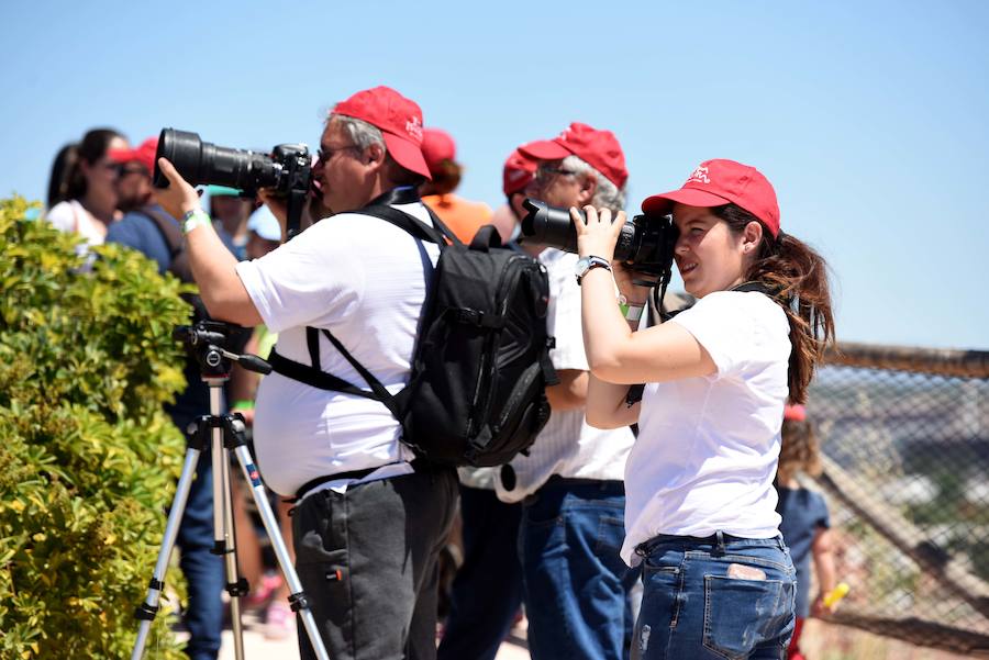 Enfocando la naturaleza más salvaje