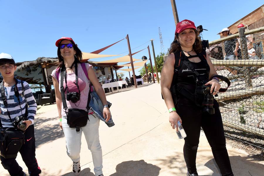 Enfocando la naturaleza más salvaje