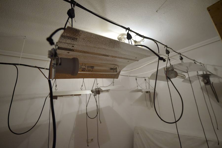 Una veintena de detenidos en un nuevo golpe contra el cultivo de &#039;maría&#039;