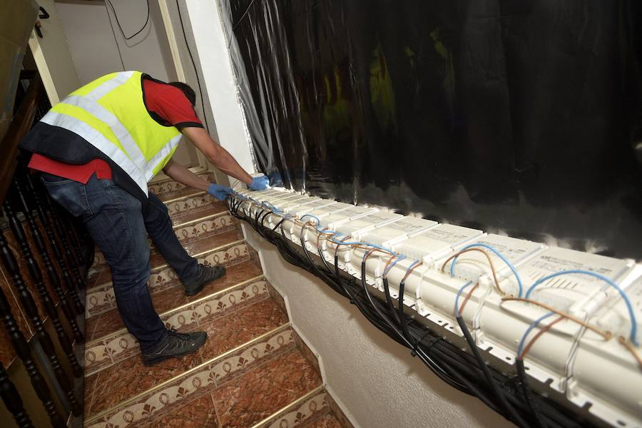 Una veintena de detenidos en un nuevo golpe contra el cultivo de &#039;maría&#039;