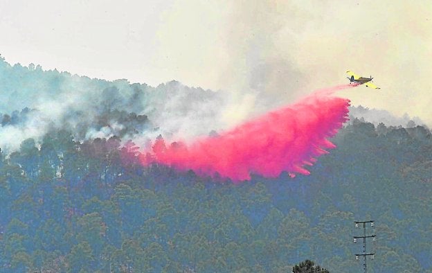 Uno de los hidroaviones que trabajan en el incendio.