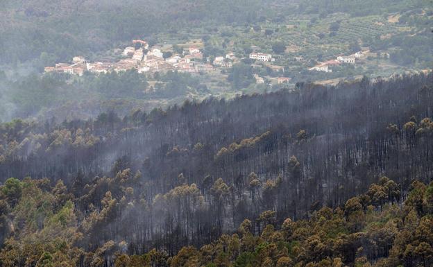 Área forestal afectada por el incendio de Yeste.