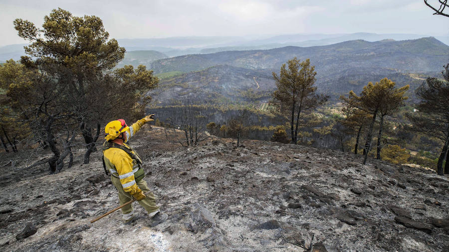 Los bomberos forestales que desde el pasado jueves luchan contra las llamas en el incendio de Yeste (Albacete) tienen previsto acotar el fuego este miércoles.