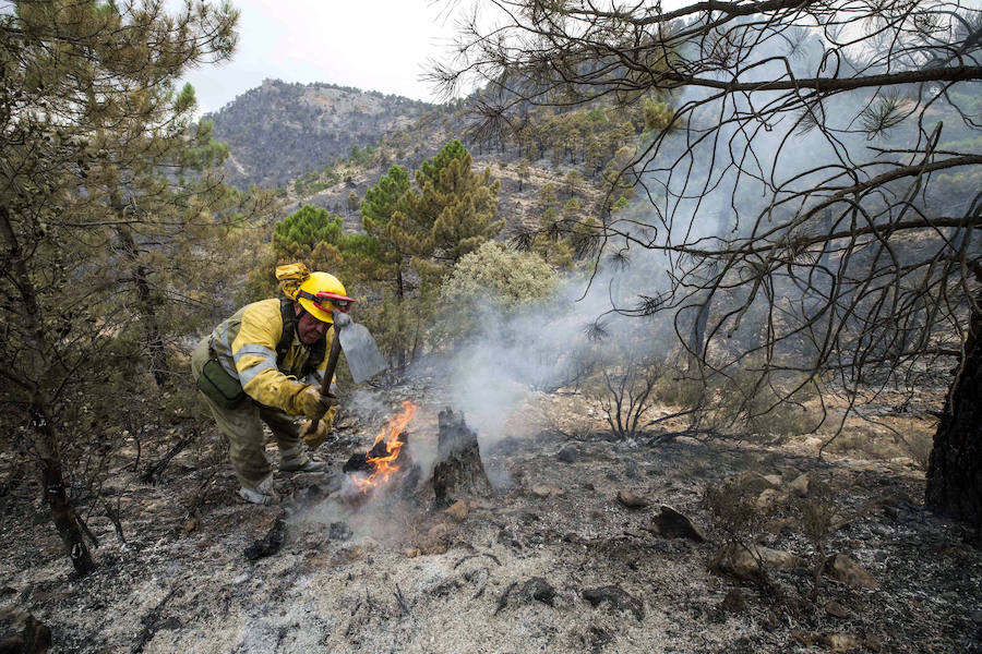 Los bomberos forestales que desde el pasado jueves luchan contra las llamas en el incendio de Yeste (Albacete) tienen previsto acotar el fuego este miércoles.