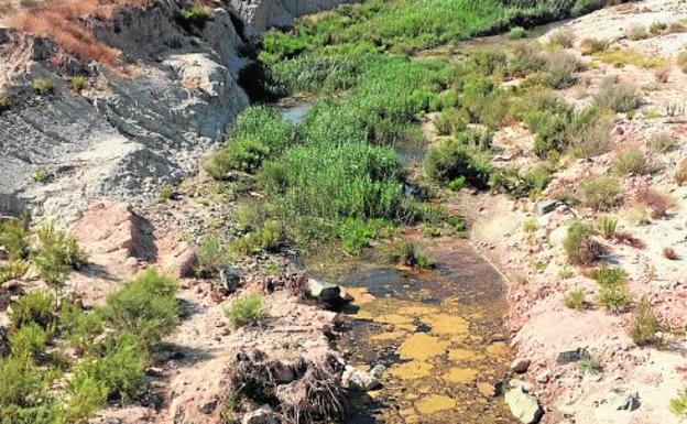 Imagen de las aguas estancadas en Las Moreras. 