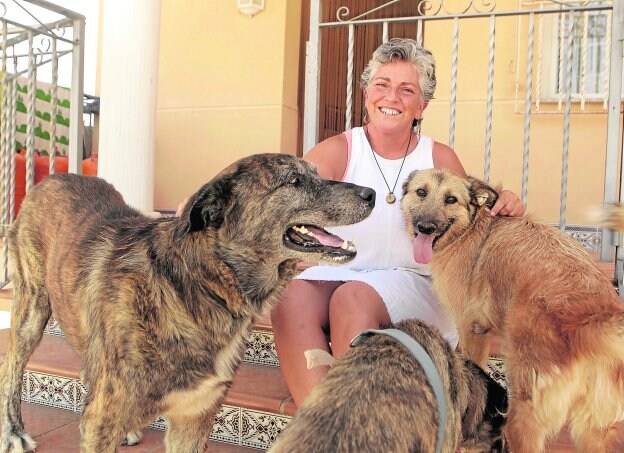 Inmaculada Pelegrín, en Lorca con sus tres perros. 