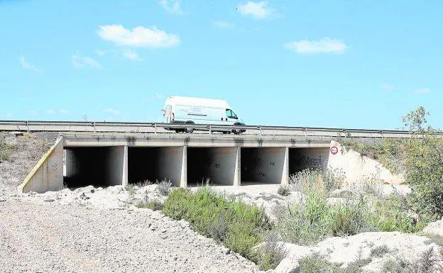 Cauce de la rambla de Biznaga bajo la carretera RM- 11 (Lorca- Aguilas)