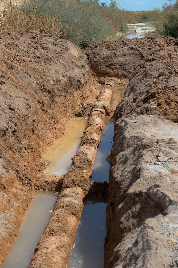 El organismo de cuenca confirma que proceden de desaladoras ilegales de explotaciones del Campo de Cartagena