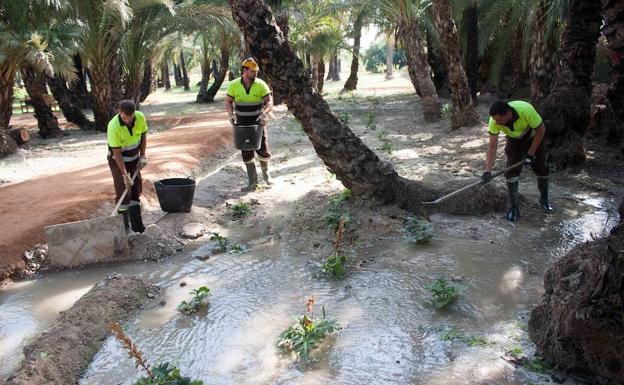 Los operarios trabajando durante el riego.