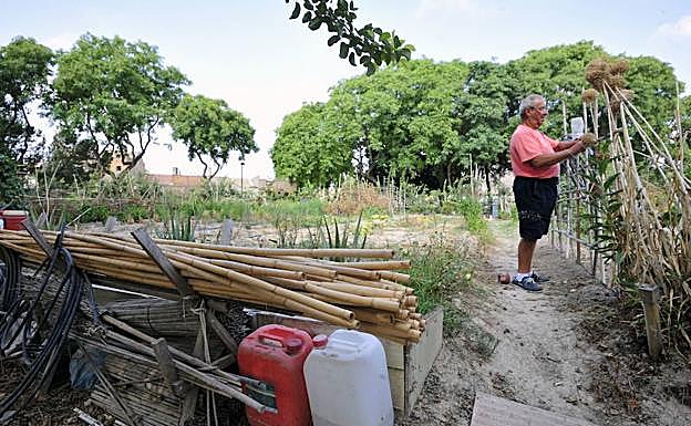 Un usuario del huerto de ocio de Ronda Sur revisando sus cultivos, ayer.