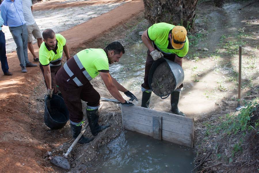 El cuidado de los 9.000 metros cuadrados consistió en el mantenimiento intensivo de los ejemplares existentes y la plantación de árboles.