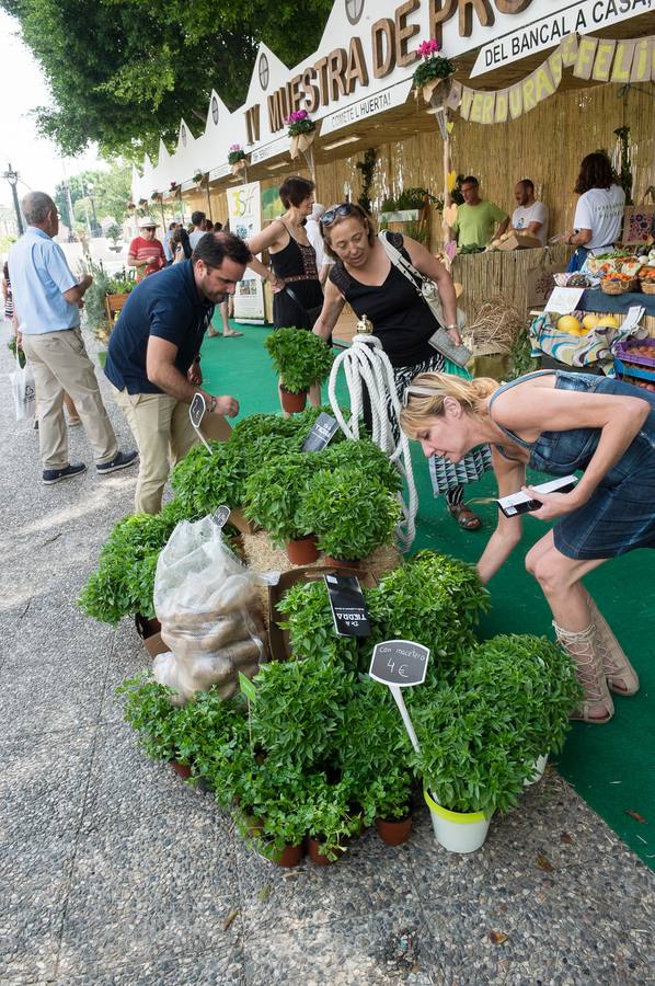 Una docena de expositores que ofrecen una amplia variedad de alimentos, especialmente frutas, hortalizas, confituras, mieles y encurtidos