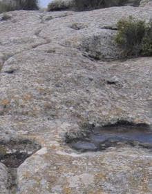 Imagen secundaria 2 - Agua embalsada en una de las cazoletas, petroglifo tallado en piedra y canaleta frente a las faldas del Monte Arabí.