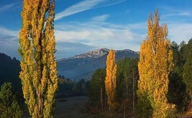 Una estampa típica de Riópar y su entorno: la sierra y unos chopos que delatan la cercanía del agua.