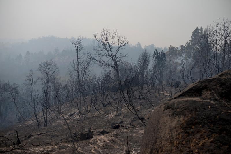 Unos 350 brigadas, 220 motobombas, cuarenta palas y una veintena de medios aéreos trabajan en la comunidad gallega para combatir los incendios que arrasan más de 4.000 hectáreas en 146 nuevos focos desde el viernes