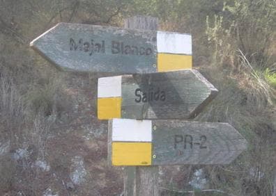 Imagen secundaria 1 - La senda, en un tramo muy frondoso, una señalización en tablillas y un camino cerca del Aula de Naturaleza del Majal Blanco.