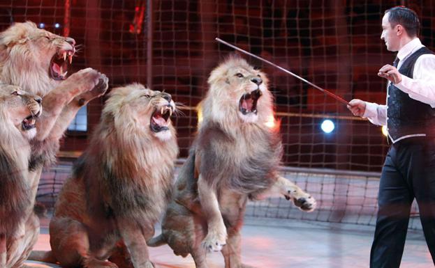 La ley de Protección Animal prohíbe los circos con fieras y el tiro al  pichón | La Verdad