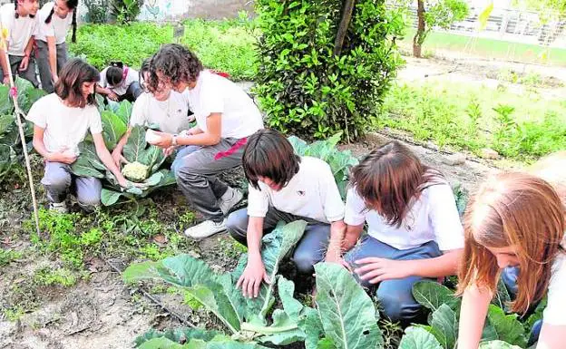 Un grupo de alumnos de Murcia, en su huerto escolar.