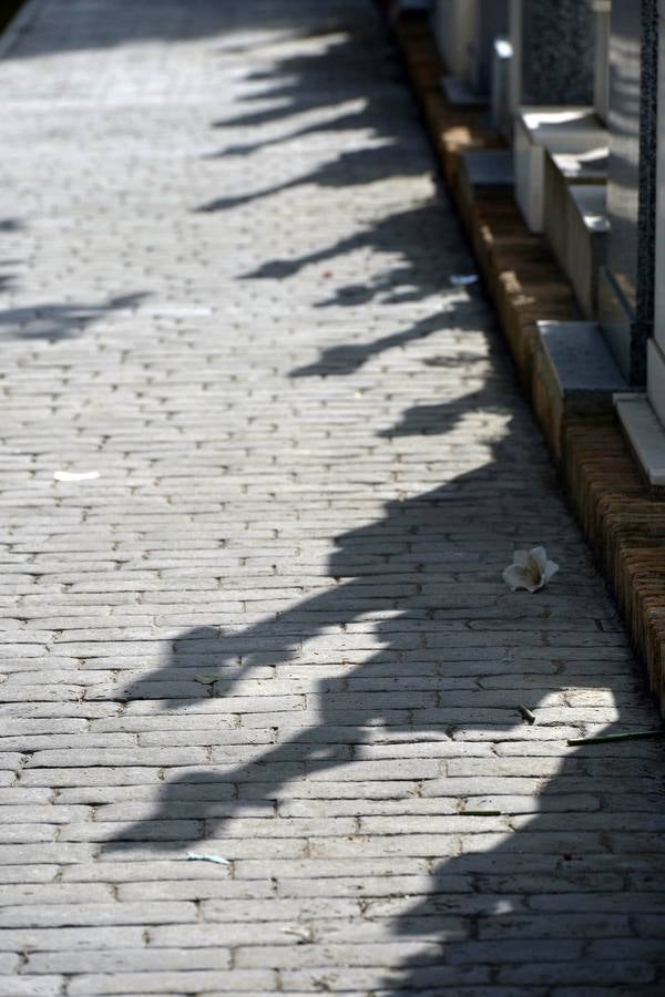 Los familiares visitan las tumbas de sus seres queridos y las visten de flores. 