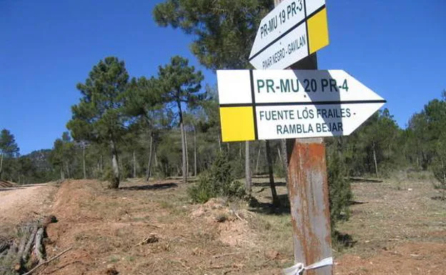 Imagen principal - Una señalización en un cruce de caminos, el Revolcadores, al fondo, y una estampa otoñal de las Fuentes del Marqués, en el inicio de la excursión.