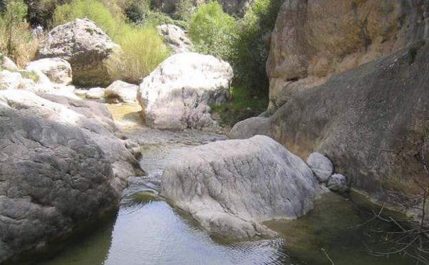 Imagen principal - Una de las pozas del río cerca del cámping, hojas de olmo y el agua cayendo por una de las pozas.