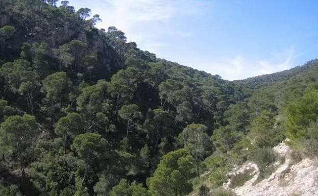 Imagen principal - Panorámica de la sierra, uno de los caminos que permite recorrer la sierra y la cumbre de Los Almeces.