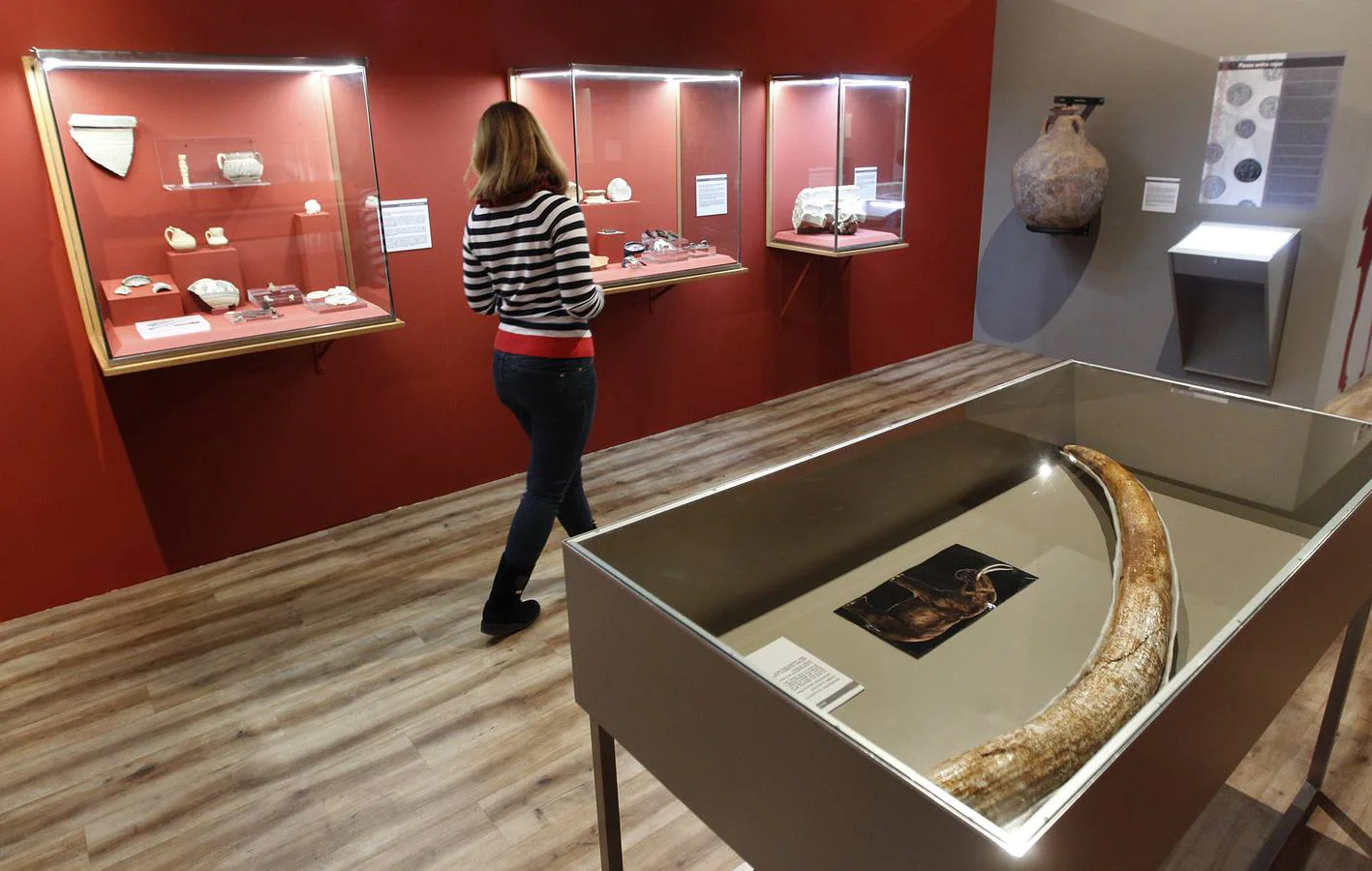 Cultura inaugura esta tarde la exposición conmemorativa de su reapertura con un recorrido por las distintas labores que realiza