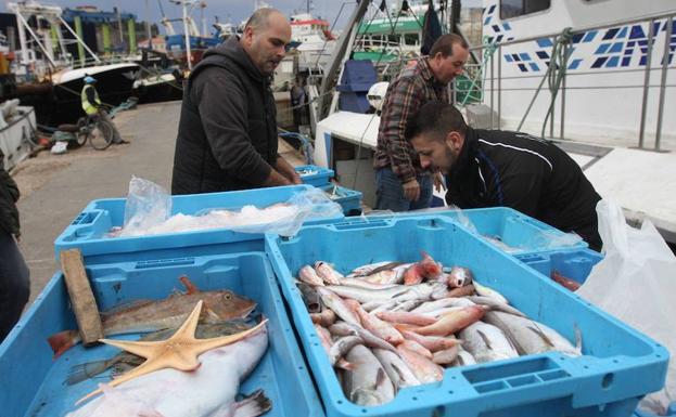 Pescadores cargando cajas de pescado en el muelle de Santa Lucía.