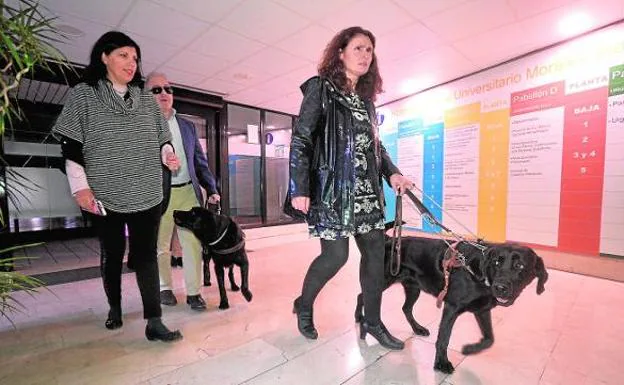 María Dolores García accede al Morales Meseguer acompañada por su perra 'Alma', ayer.