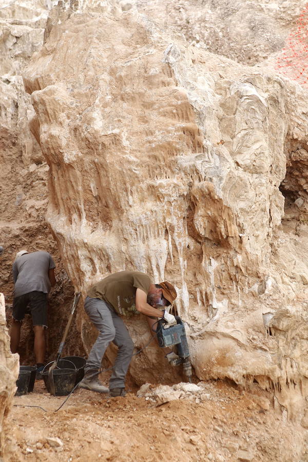 El yacimiento de la Sierra de Quibas (Abanilla) desvela los secretos del ecosistema en el que vivieron los primeros humanos en Europa Occidental