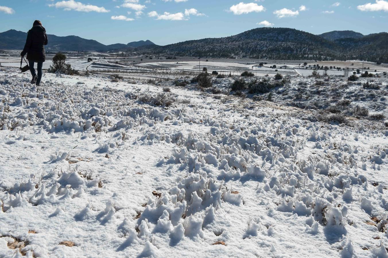 Las sierras de La Muela, del Cerezo, Los Álamos y Villafuerte y las pedanías altas de Moratalla y Caravaca se tiñen de blanco