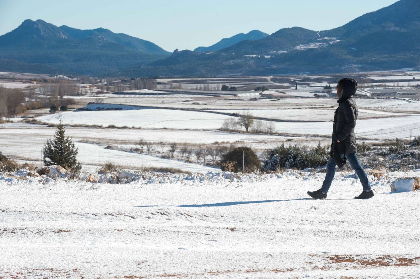 Las sierras de La Muela, del Cerezo, Los Álamos y Villafuerte y las pedanías altas de Moratalla y Caravaca se tiñen de blanco